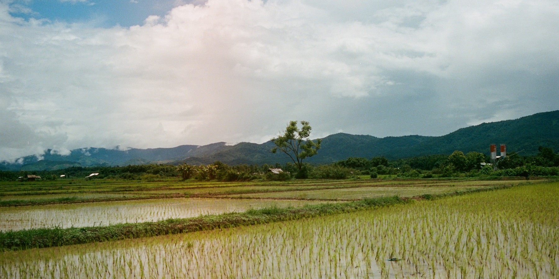 Flooded rice paddy fields with mountains beyond, Thailand